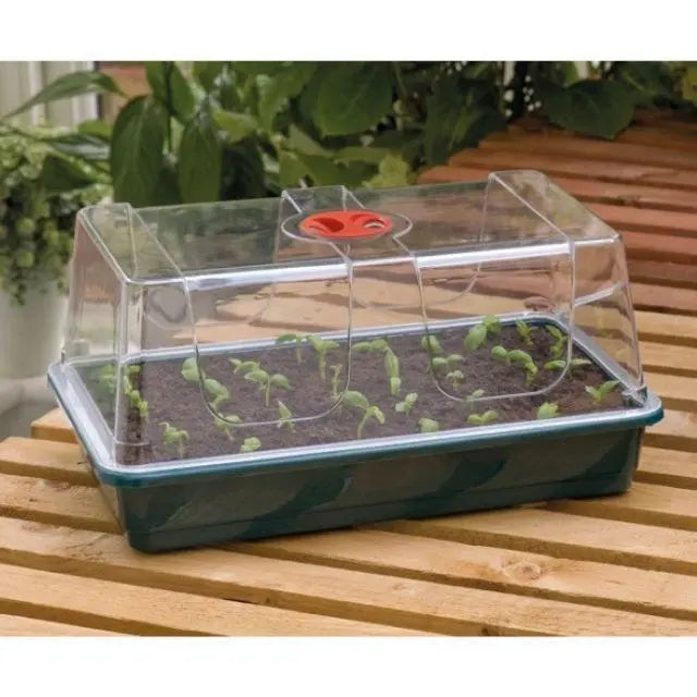 Garland Large High Dome - 37 x 22 x 19cm