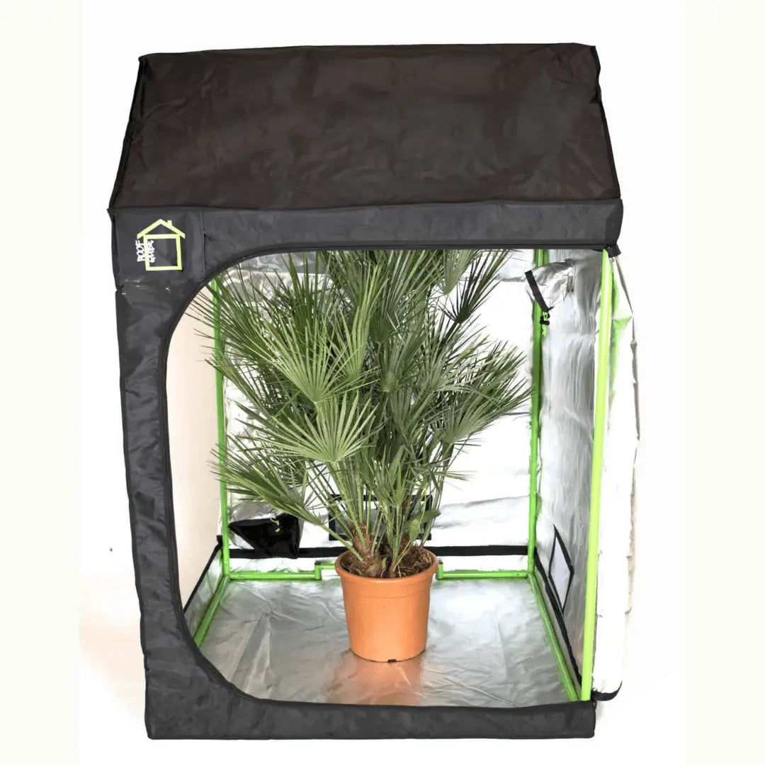 Green Qube Dach-Qube-Zelt RQ120 – 120 x 120 x 180cm