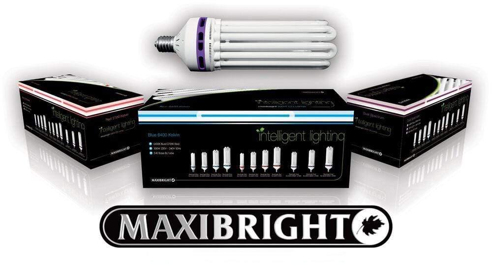 Grow Lamp Maxibright CFL Lamps