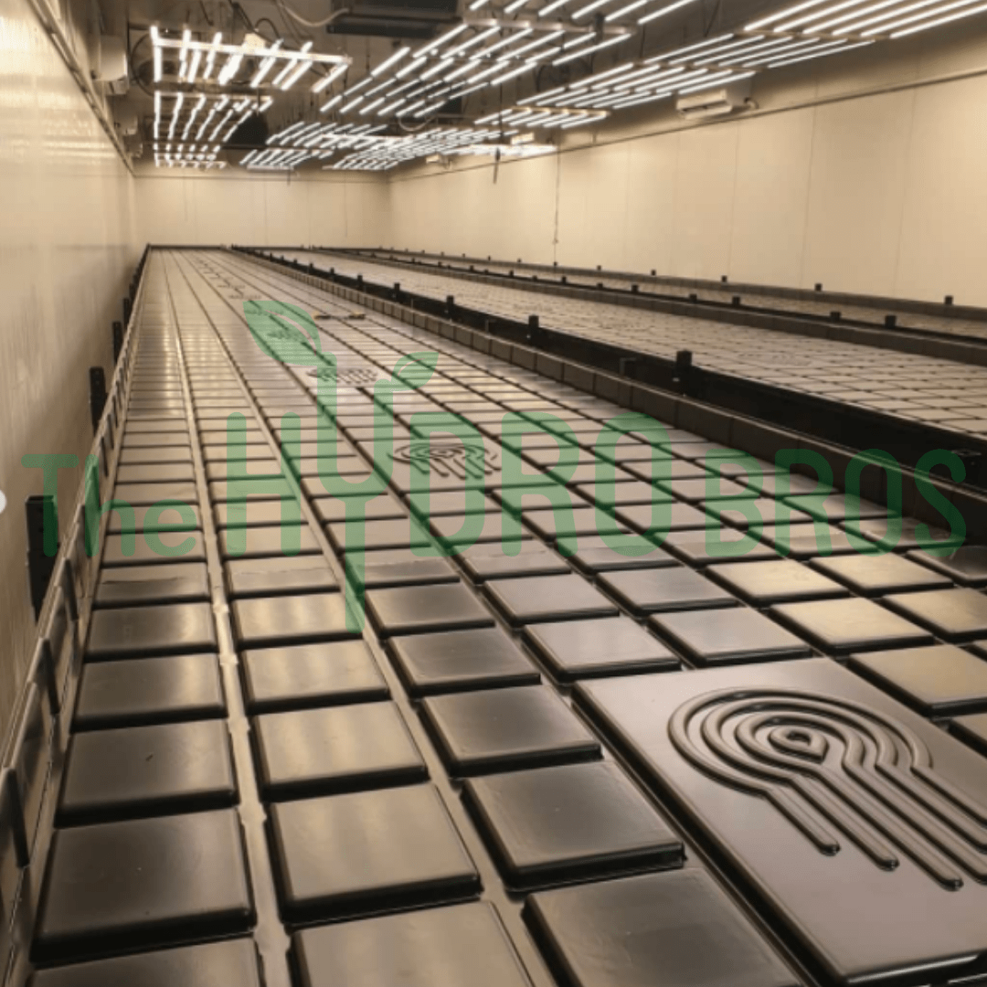 Grow Systems Idrolab - Idro Roll with Trays