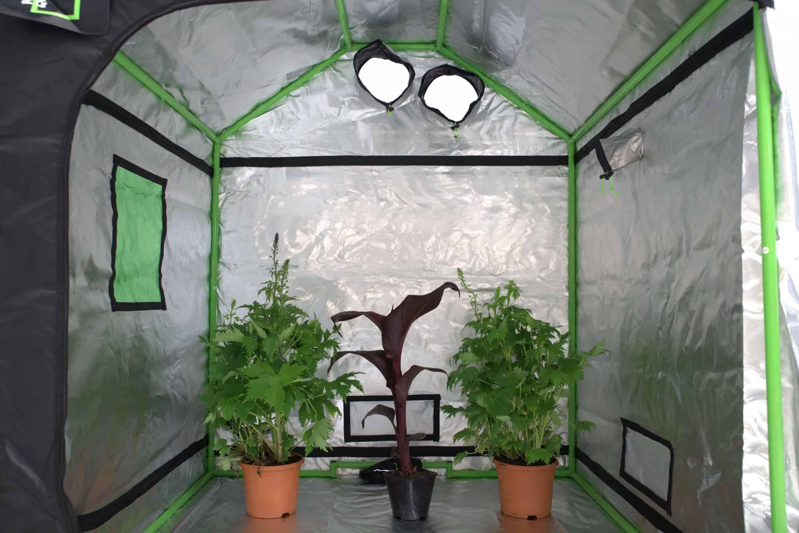 Grow Tents Green Qube Roof-Qube RQ1224 - 120 x 240 x 180cm