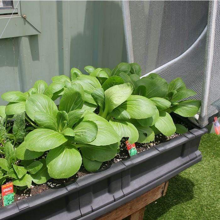 Grow Your Own Vegepod Garden Bed with Cover & Stand - Small