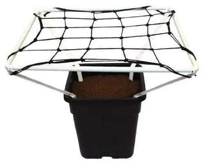 Scrog Line Pro 1.0