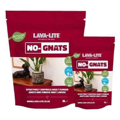 Lava-Lite No Gnats
