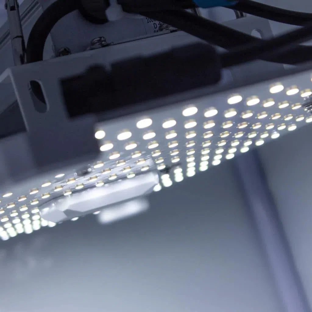 Lumii Black Blade LED - 100w Veg Grow Light