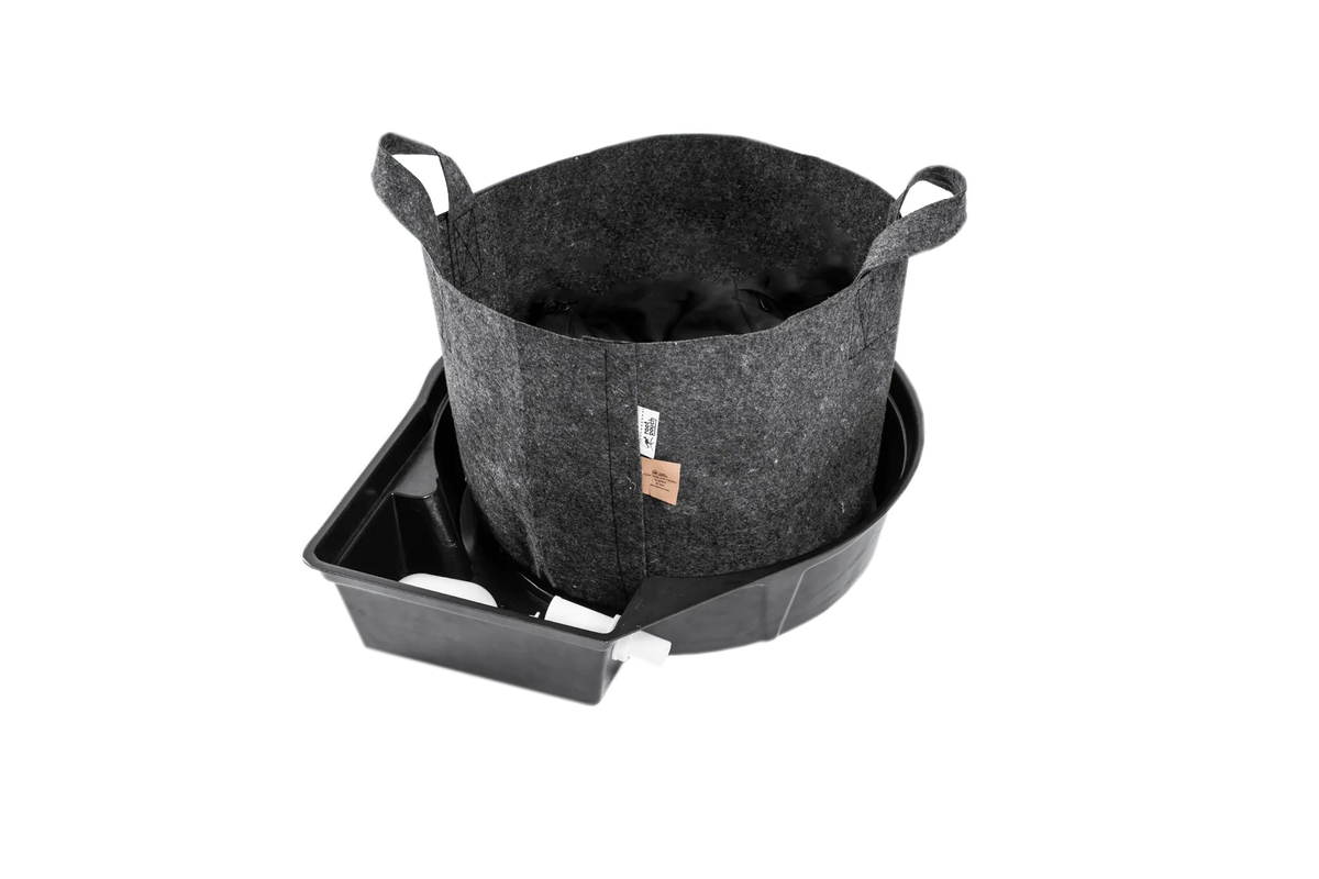 Megapot System - 39 Litre