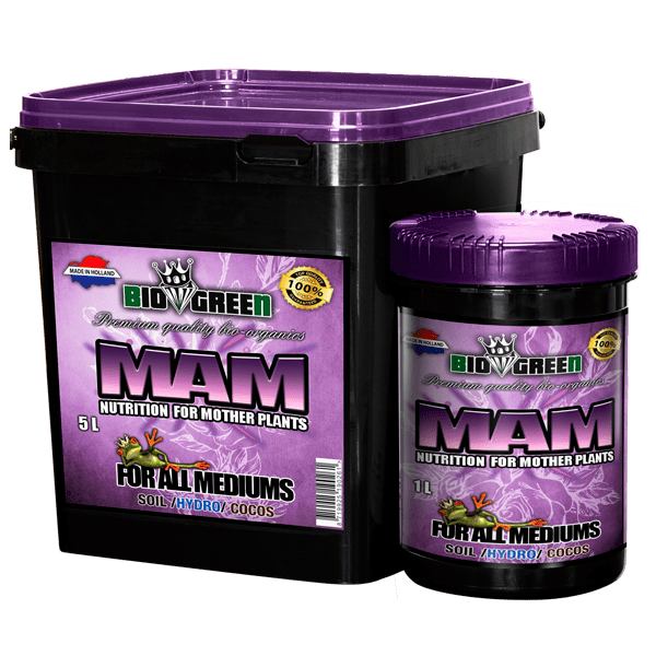 Nutrients Biogreen - MAM