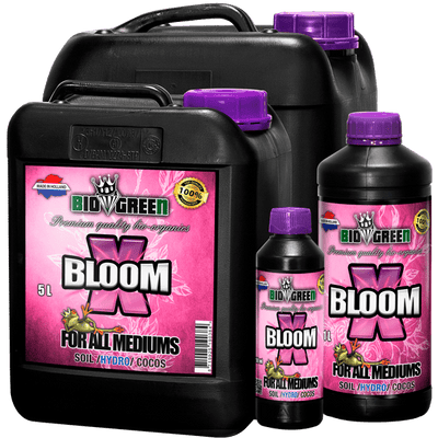 Biogreen - X-Bloom