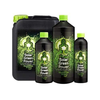 Buddhas Tree Solar Green Power