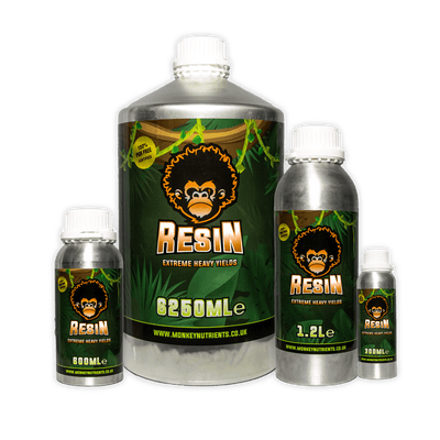 Nutrientes para monos - Resina