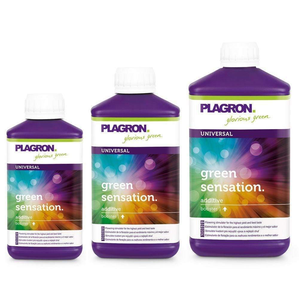 Nutrients Plagron Green Sensation