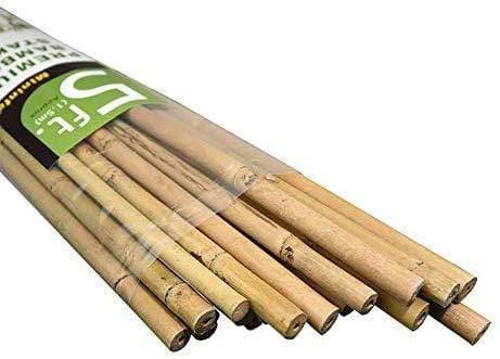 Plant Support 5' Bamboo Stakes (150cm) - Pack of 25