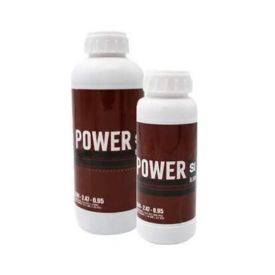 Power Si - Bloom (Abgelaufener UK-Lagerbestand)