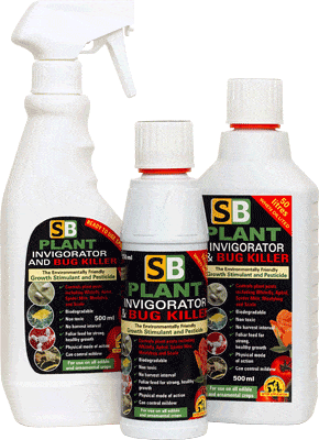 SB Invigorator