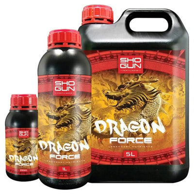 Shogun – Drachenkraft