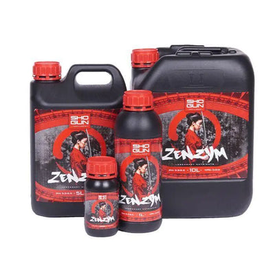 Shogun - Zenzym
